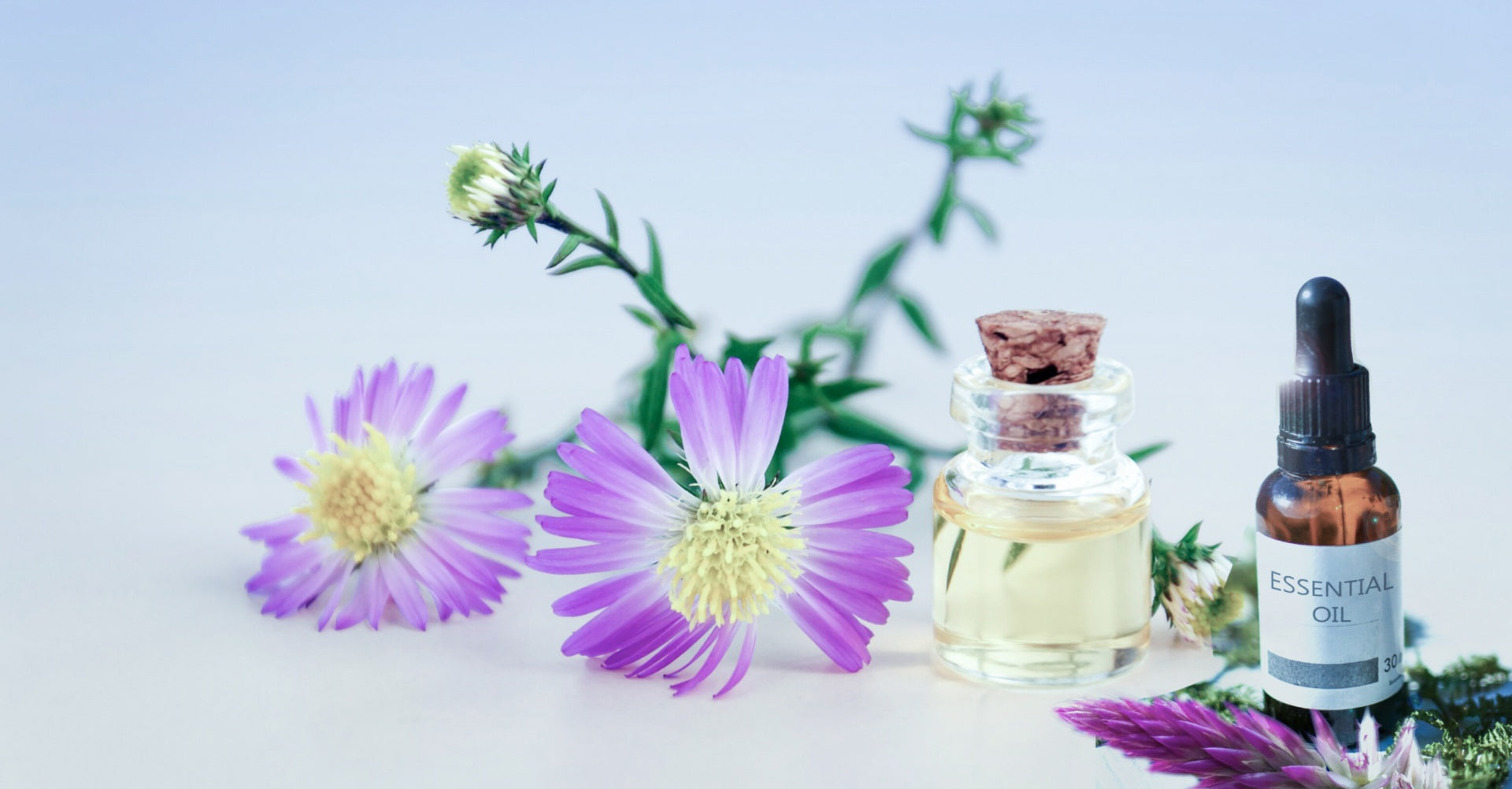 What exactly is the composition of perfume?– Fragrenza