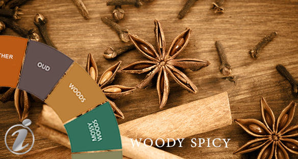 Woody Spicy Fragranceswith free shipping Fragrenza