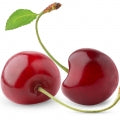 Amarena cherry online fragrenza