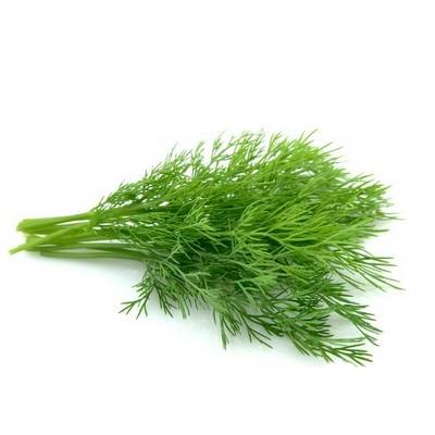 Dill in perfumery