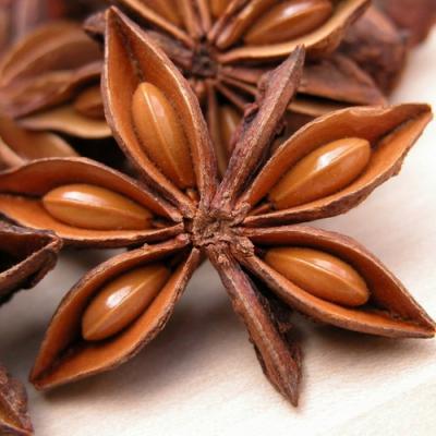 Anise in perfumery