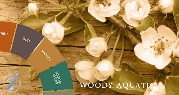 Woody Aromatic Fragrances