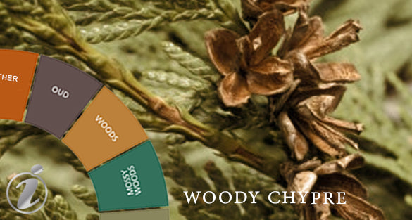 Woody Chypre Fragrances