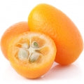 Illustration representing Kumquat Fragrances